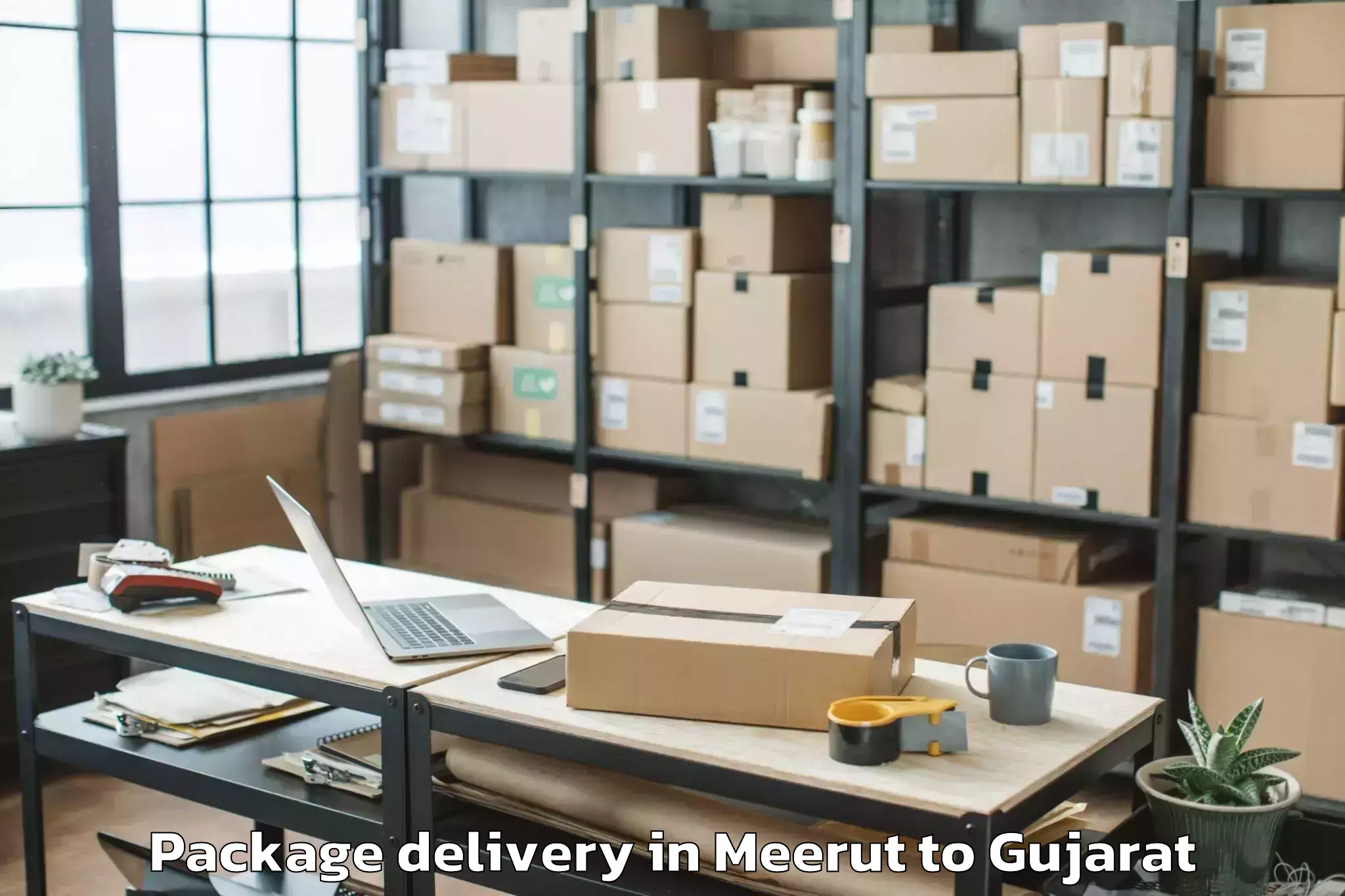 Quality Meerut to Vansada Package Delivery